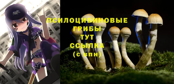 герыч Алзамай