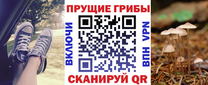 Псилоцибиновые грибы мицелий  купить наркотик  Новочеркасск 