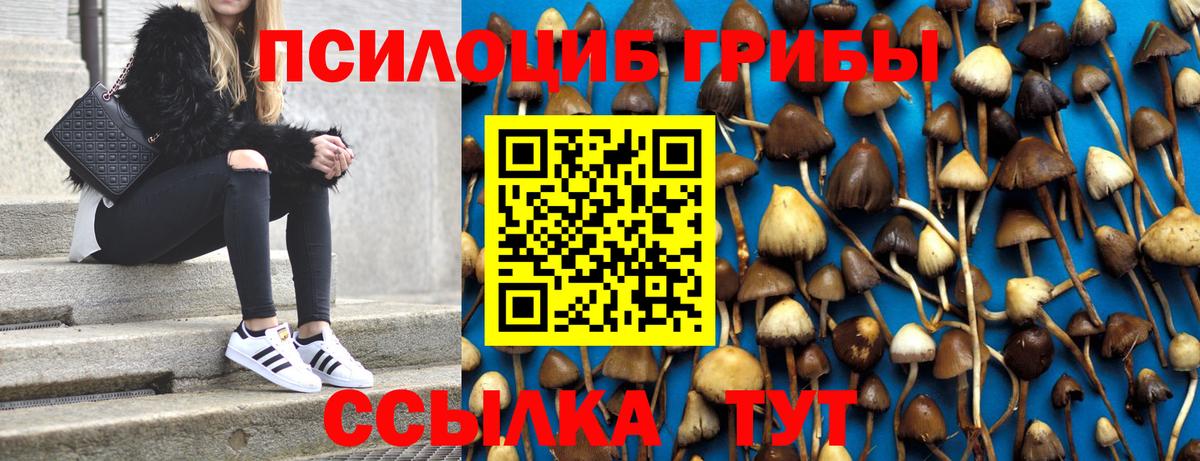 Псилоцибиновые грибы GOLDEN TEACHER Новочеркасск